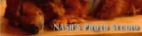 Nash.jpg